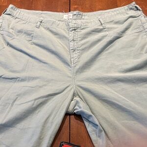 Anthropologie Pilcro Green Gray Pants